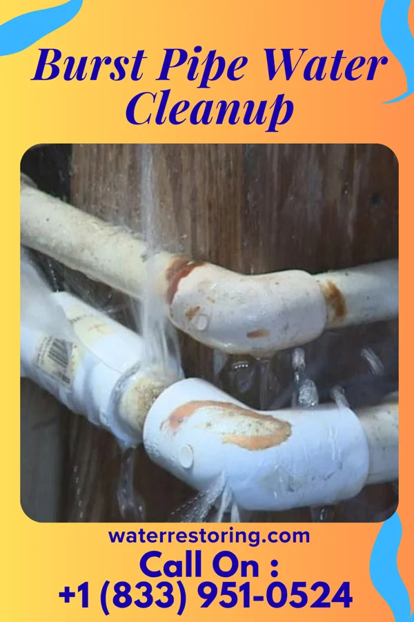 Burst Pipe Water Cleanup in Fruitport, MI