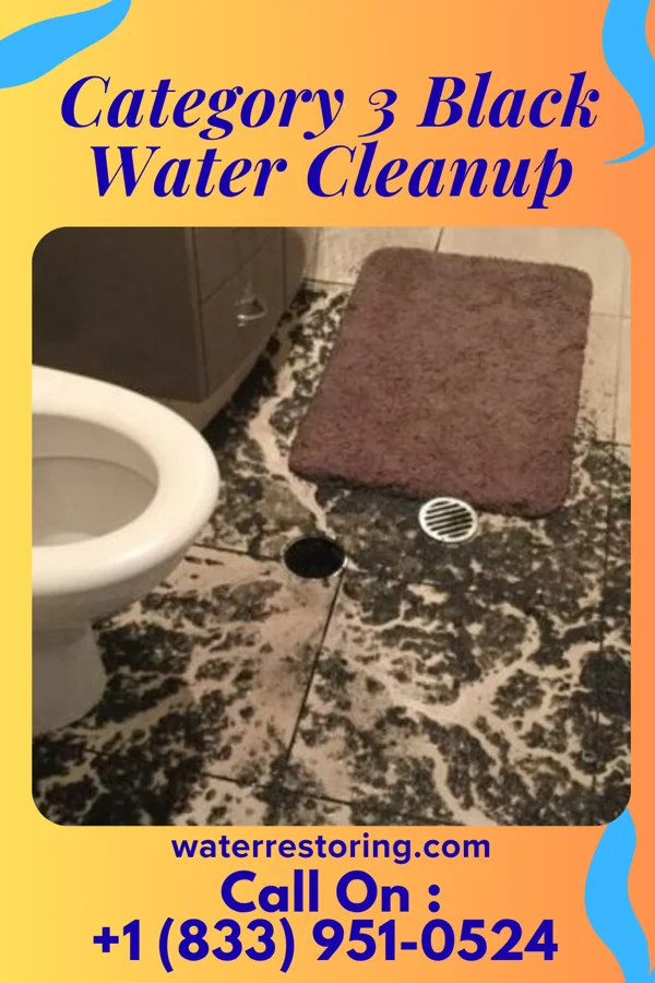 Category 3 Black Water Cleanup in Fruitport, MI