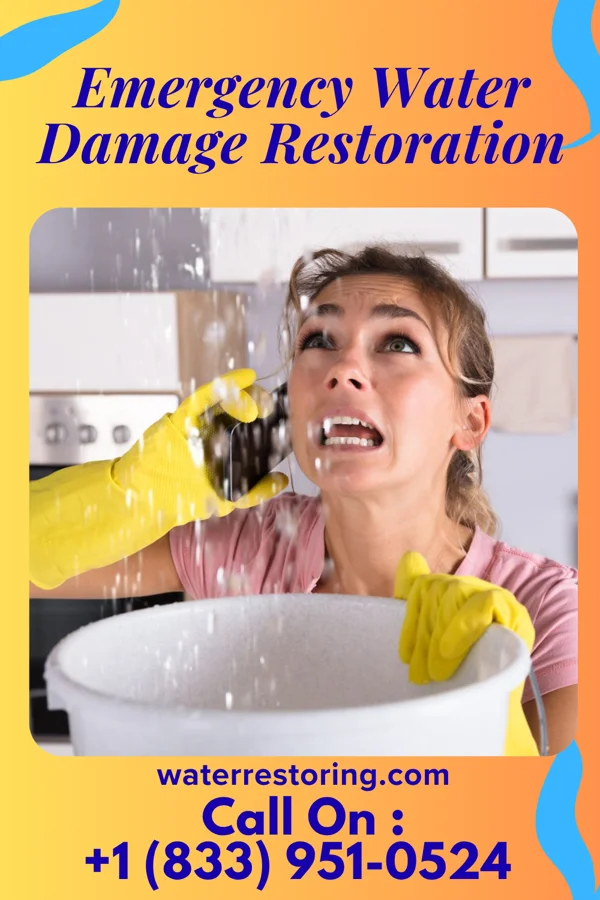 Emergency Water Damage Restoration in Fruitport, MI