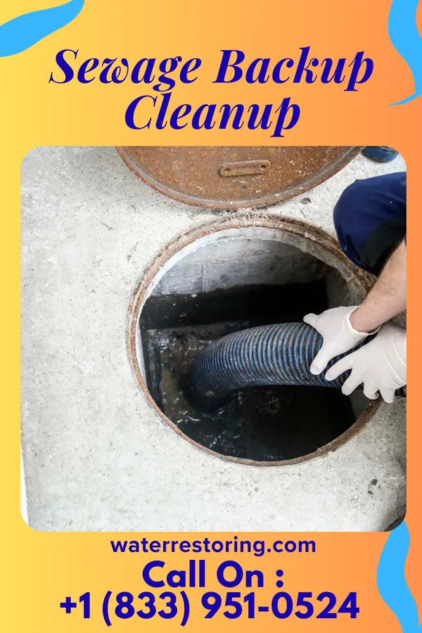 Sewage Backup Cleanup in Fruitport, MI