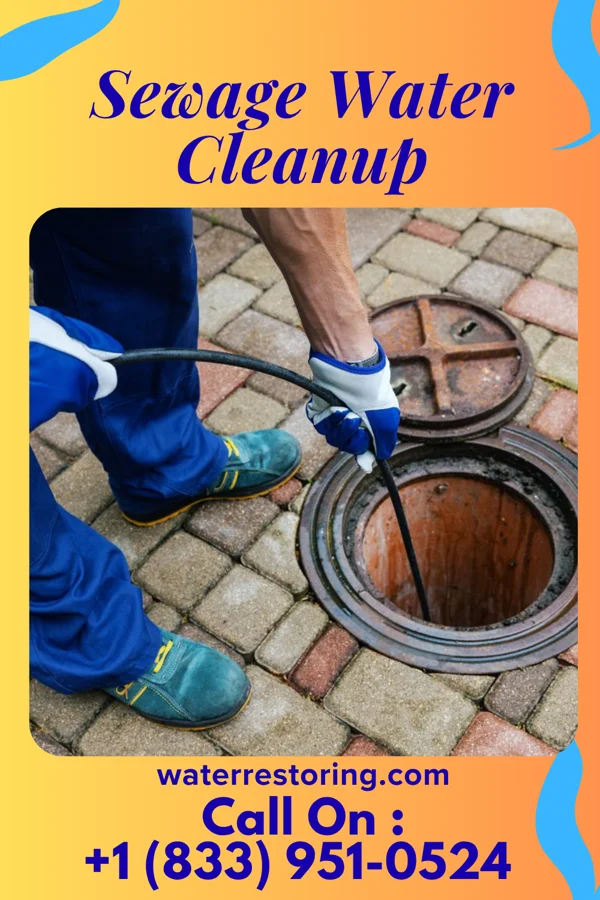 Sewage Water Cleanup in Fruitport, MI